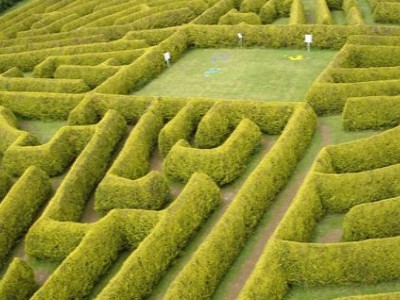 The Kildare Maze